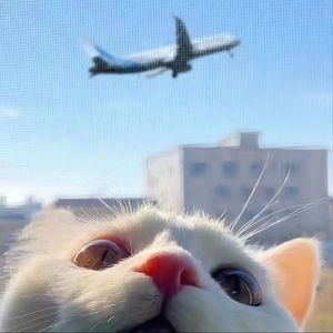 另类小说综合网
