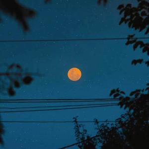 另类小说综合网
