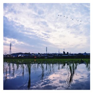 另类小说综合网
